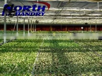 Evaporative Cooling Pad/wet Curtain Cooling Pad for Greenhouse Cooling photo-2