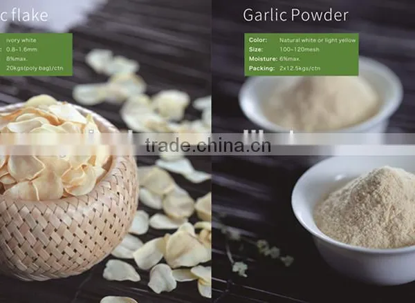 Garlic Seasoning 16-26 Mesh40-80mesh /Garlic Granule/White Garlic/vegetarian Seasoning