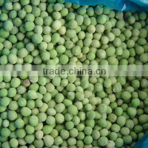 Good Sale and Best Quality IQF Frozen Fresh Green Peas photo-3