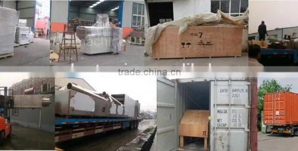 Potato Chips Processing Machine Frozen French Fries Potato Chip Production Line photo-6