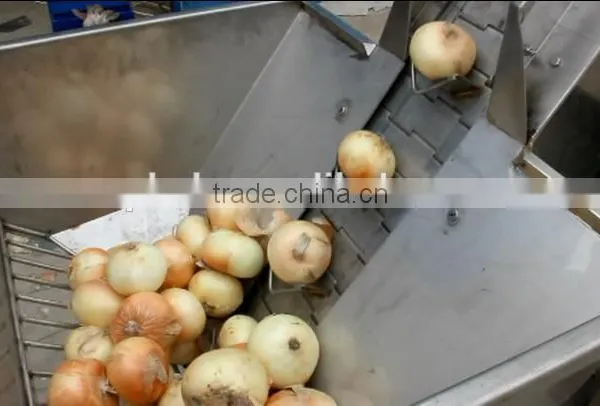 Single Conveyor Belt Onion Peeling Machine photo-3
