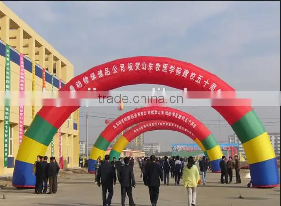 advertising inflatable model with custom words printing