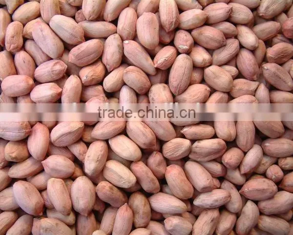 2014 Crop Shandong Peanut Kernels photo-2