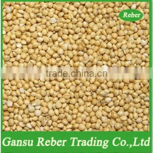 Red Millet In Husk photo-2