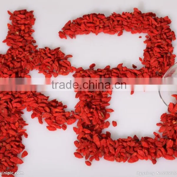 100% Natural Goji Berry Chinese Berry Goji Ningxia Wolfberry photo-5