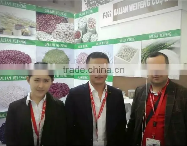 2016 Chinese Pine Nuts Without Shell for Export photo-4