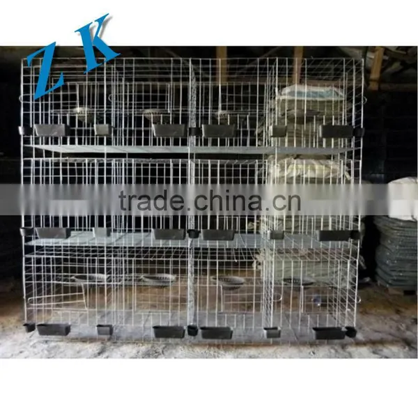 Chicken Cages Material HOt Dipped Galvanized Wire Q235 photo-3
