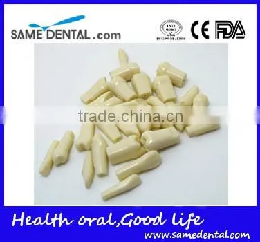 500 Dental Grain Dental Eduction Assitant No. DEA-12 photo-2