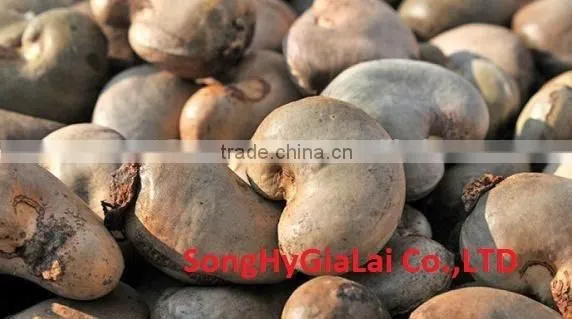 CASHEW KERNEL