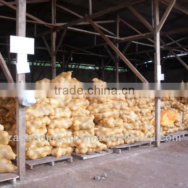Fresh Mature Coconut photo-5