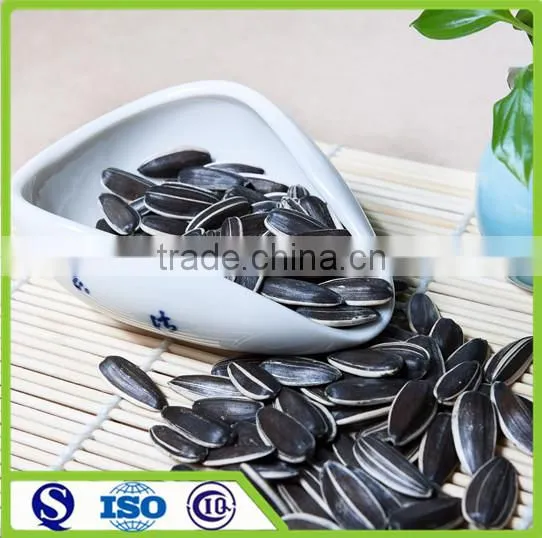 Wholesale Seeds of Sunflower Type 5009