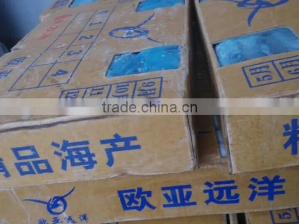 New Catching Frozen Pacific Saury 120-140 1# Size Hot Sale photo-3