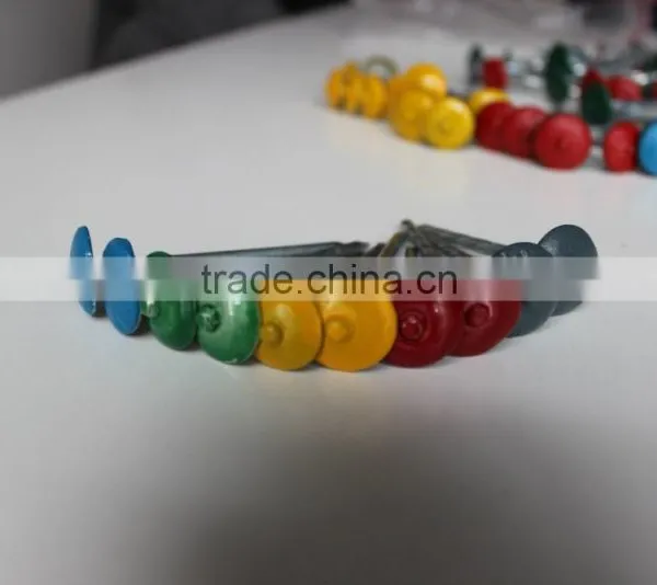 High Quality Roofing Nail From China Manufacturer photo-5