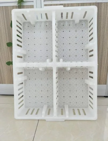 Plastic Crates for Poultry Transportation and Egg Transportation photo-4