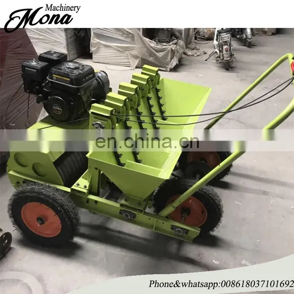 5 Rows Hand Garlic Planter for Precision Garlic Planting Machine Sale photo-6