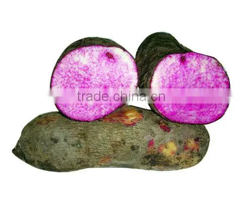 Fresh Yam Tubers Root From Vietnam