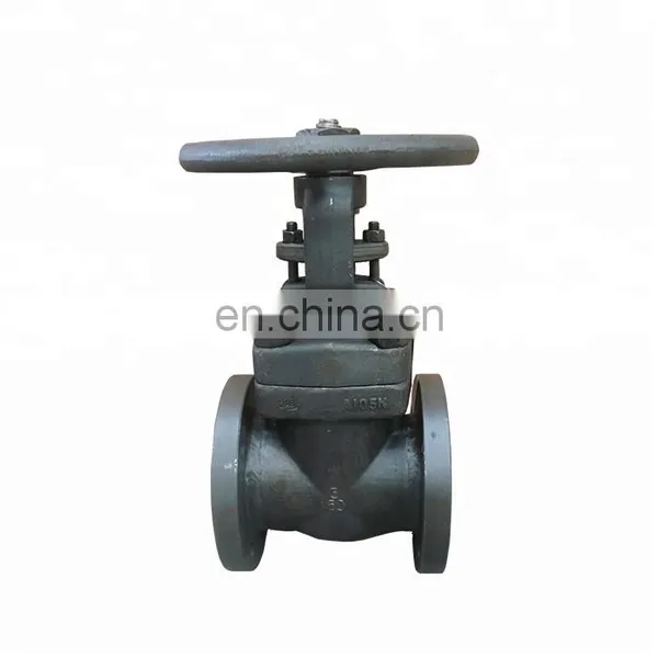 Forged Steel A105 Pn16 Globe Valve Dn20 photo-3