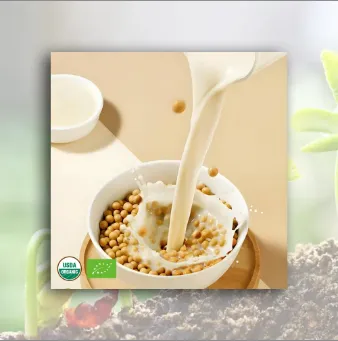No Sugar Soybean Powder Soybean Milk Powder photo-2