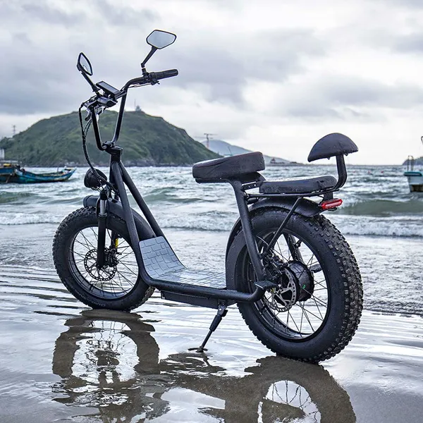 Two wheels 1000W 20inch fat tire electric scooter