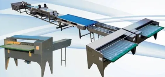 Egg Cleaning Sorting Packing Line photo-4