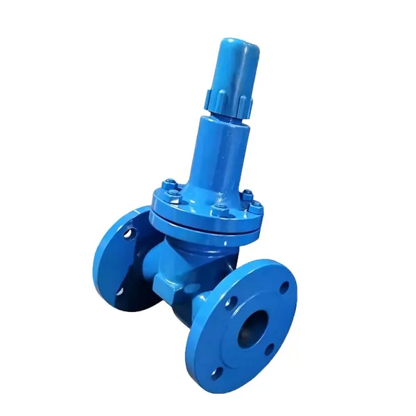 Manufacturer Direct Sales of High-quality Shuttle Type Pressure Relief Valve ZSX41X photo-4