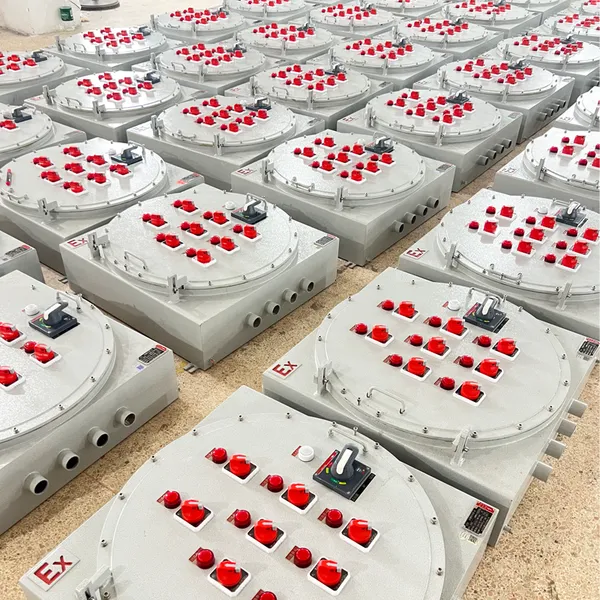 Explosion Proof Maintenance Power Box IP66 Ex db IIB T6 Industrial Flameproof Repair Power Box photo-5