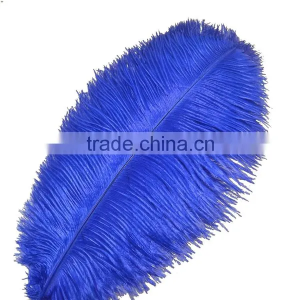 Wholesale Natural Ostrich Feather, Colored Ostrich Feathers for Wedding and Party Decoration photo-6
