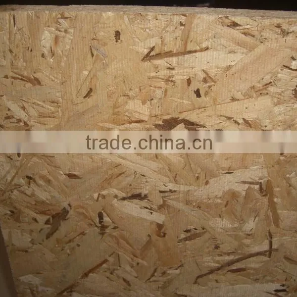 Poplar OSB photo-3