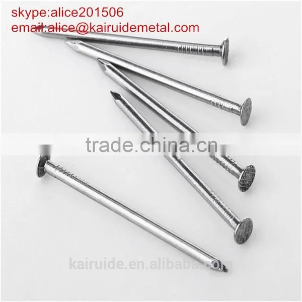 Common Wire Nail/common Iron Nail Factory photo-4
