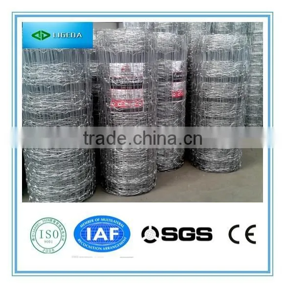 Hinged Joint Cattle Fencing photo-4