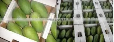 Green Mangoes photo-5