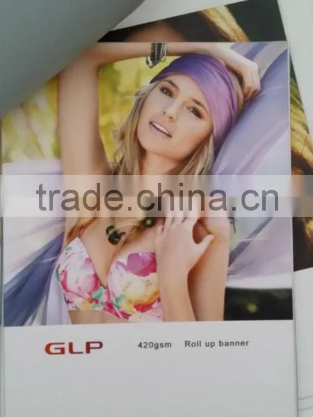 PET GREY BACK FOR ROLL UP