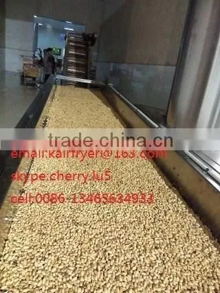 Auto Matic Fired Peanut Machine /roasted and Salted Peanut Machinary photo-5