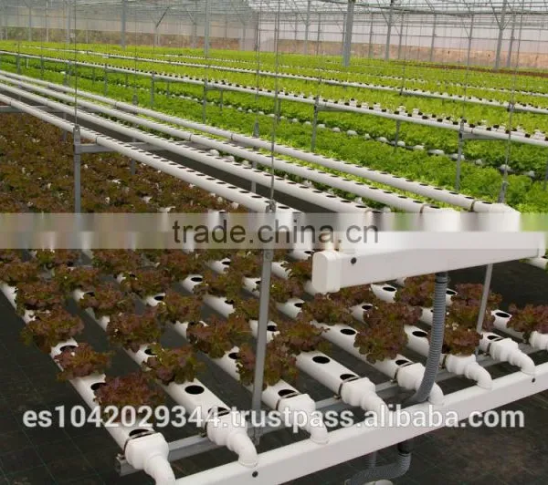 Versatile Tropical Greenhouses for NFT, Hydroponics and Drip Irrigation photo-6