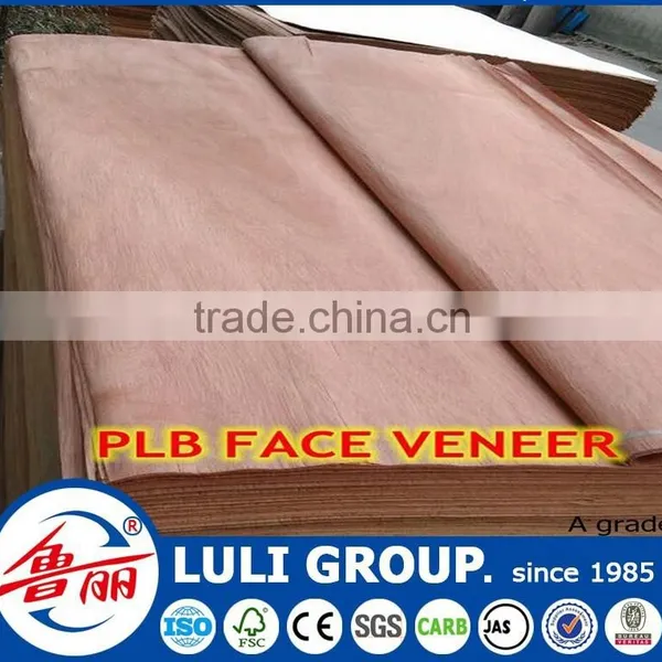 Walnut Veneer photo-4
