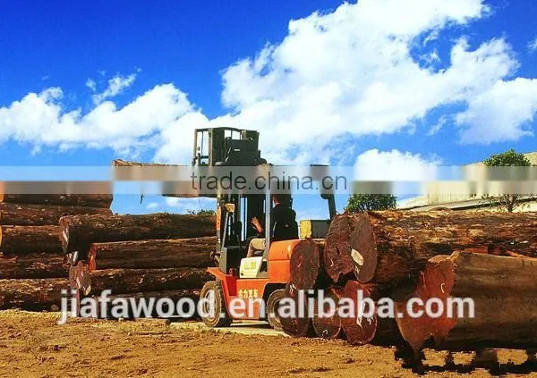 FSC High Quality Birch Logs photo-5