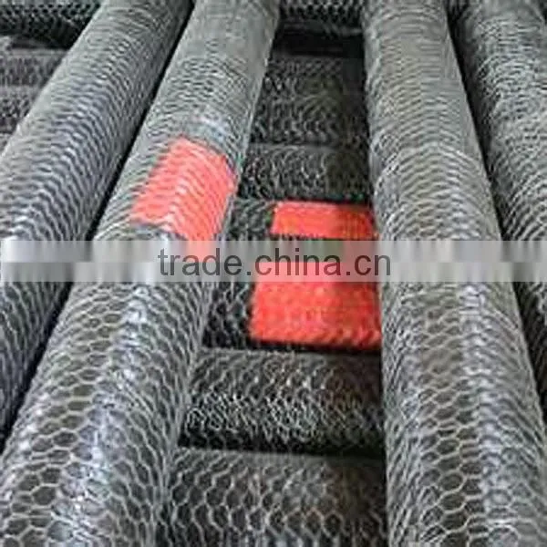 Green Pvc Coated Chicken Wire Mesh photo-5