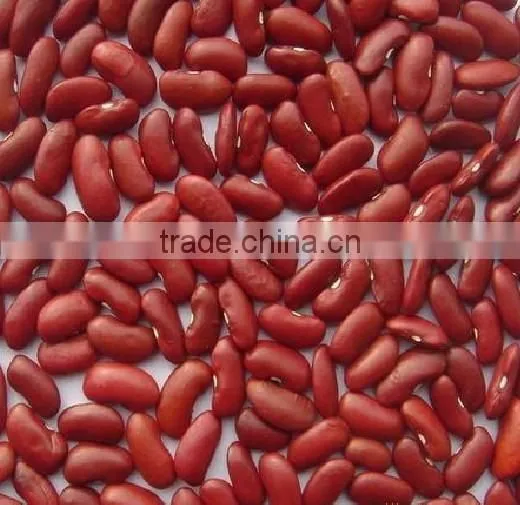 Supply Hot Sale English Red Kidney Beans With Competitive Price photo-3