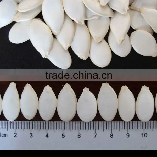Shine Skin and Snow White Pumpkin Seeds photo-2