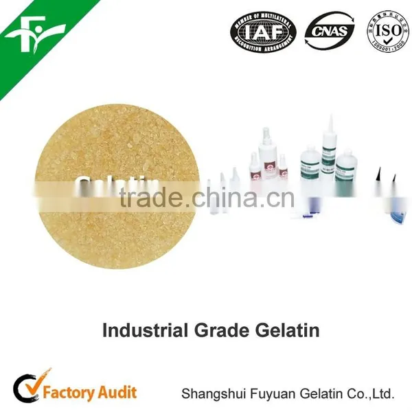Gelatin in Granular With Packing 50kg / Bag Used in Industrial Chemicals as a Binder photo-5