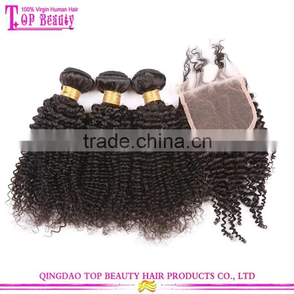 8A Grade Top Quality Kinky Curly Real Mink Brazilian Hair Virgin Hair Bundles With Lace Closure photo-5
