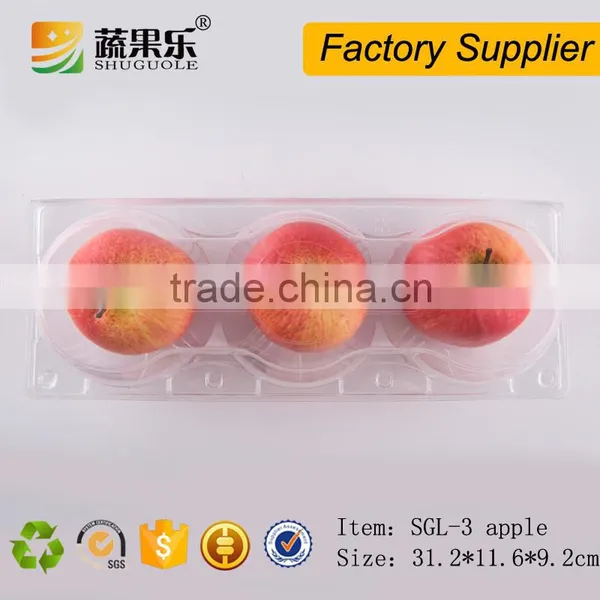 Disposable Blister Box Plastic Fruit Container for 3 Pack of Apple Packaging photo-2