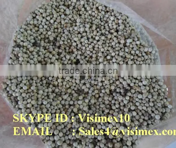 WHITE PEPPER 600 G/L FROM VIETNAM photo-2