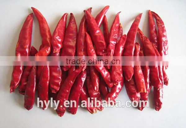 Dried New Generation Chilli photo-3