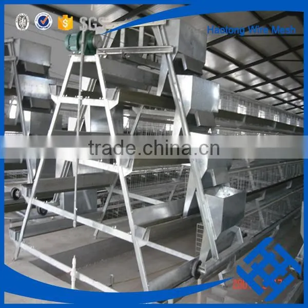 South Africa Distributor Agricultural Equipment/poultry Farming in Nigeria/poultry Equipment Price