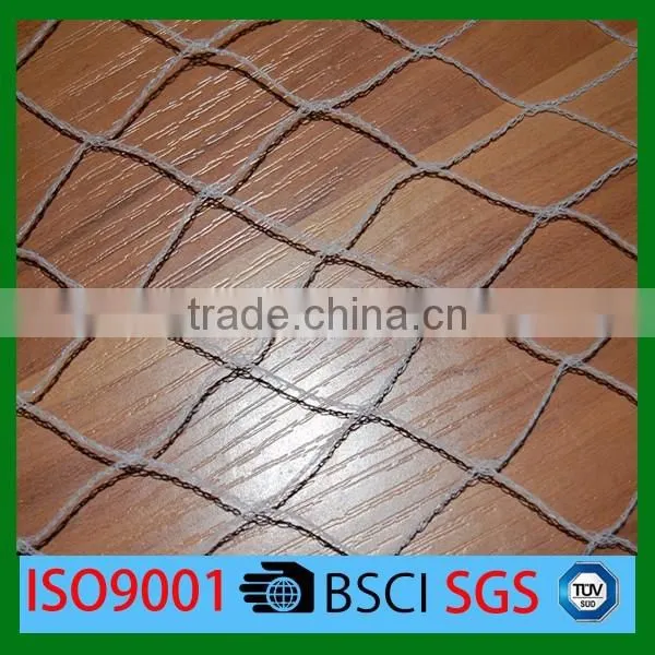 Long Life Quality Guarantee Agricultural Bird Catching Net Mesh Cloth photo-4