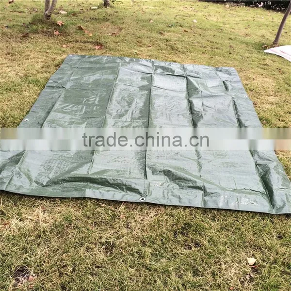 Hot Selling pe Tarpaulin Roll photo-2