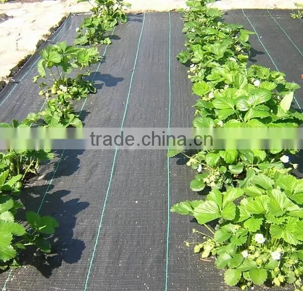 Protective PP Ground Cover photo-3