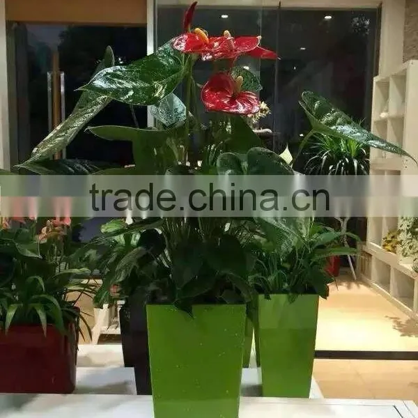Made in China Round Baking Finish Self-watering Planters photo-5