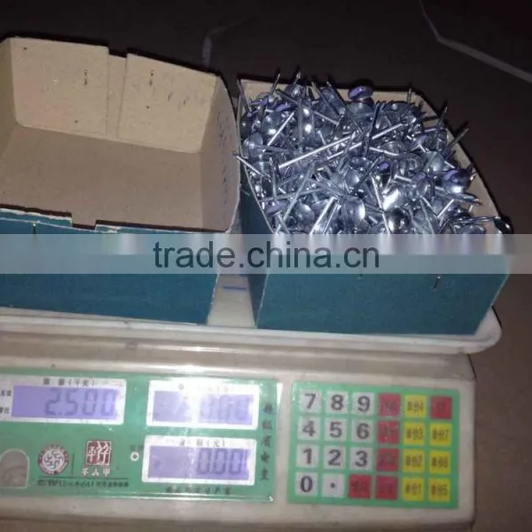 Nigeria Market 7Ibs 8boxes Package High Quality Umbrella Roofing Nails photo-2